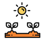 Natural-y-sustentable